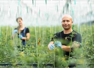 bezreziduální produkce to znamená, že vám garantujeme, že naše zelenina obsahuje 0 % zbytků pesticidů stejně jako v případě BIO výrobků.