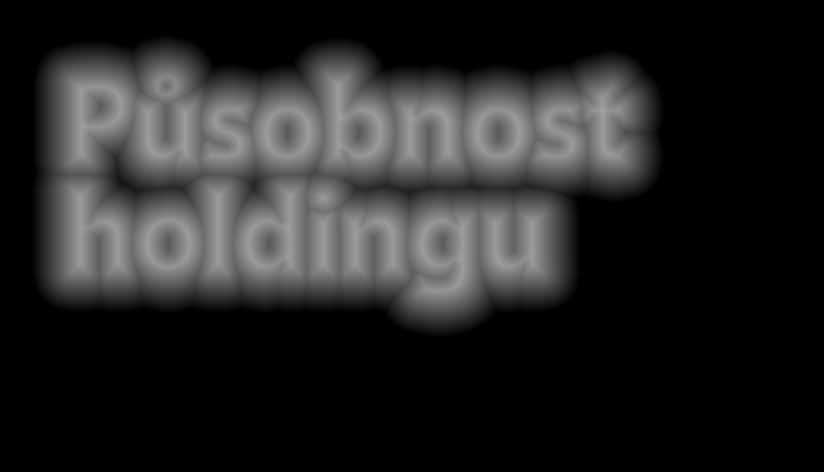 Působnost holdingu Obsah usa Fillamentum a.s. Velká Británie NWT International Ltd. ČESKá REPUBLIKA NWT a.s. EMEA s.r.o. Fillamentum Manufacturing Czech s.r.o. Farma Bezdínek s.r.o. Čerstvě utrženo, družstvo (odbytová organizace) Lorencova s.