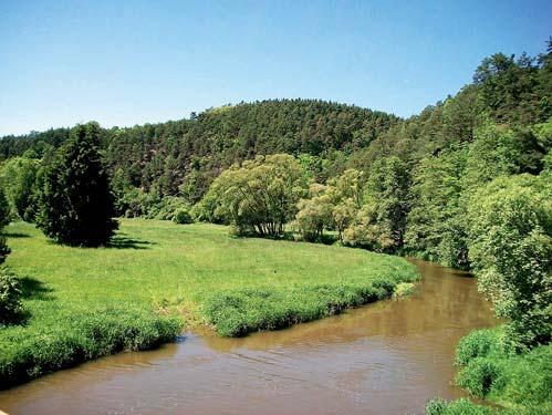 DÍLČÍ POVODÍ STŘELY 31 1.