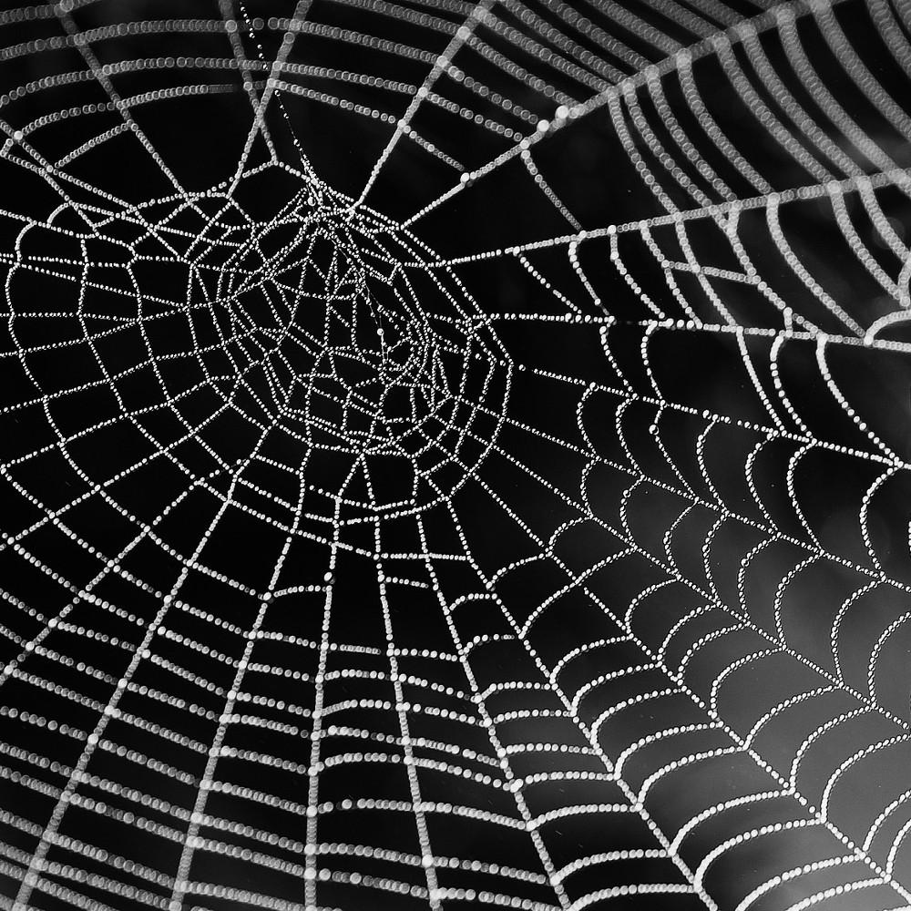 Tranzit sám nestačí tranzit je drahý dlouhý pomalý ale univerzální data jdou složitou cestou jediná linka je riskantní snaha ušetřit
