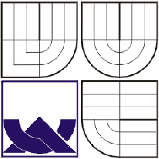 VYSOKÉ UČENÍ TECHNICKÉ V BRNĚ BRNO UNIVERSITY OF TECHNOLOGY FAKULTA INFORMAČNÍCH TECHNOLOGIÍ ÚSTAV