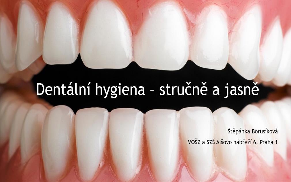 Příloha