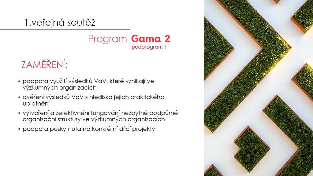 Program