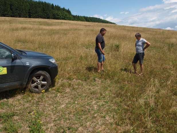 Aktuální problém v ČR: Donedávna nadbytek travní píce, od r.