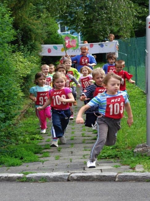 Příloha č.