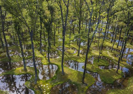 15 AKTUALITY Botanická zahrada Art Biotop Water Garden, Tochigi, Japonsko (autor: Junya Ishigami + Associates) Hodnocení odbornou 9. 13. 12. 2018 porotou: Hlasování veřejnosti: 16. 12. 2019 31. 1. 2020 Vyhlášení vítězů: 6.