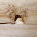 smrk a borovice). Jsou-li tyto dutiny během zpracování dřeva narušeny řezáním nebo hoblováním, tak se může lepkavá pryskyřice uvolňovat.