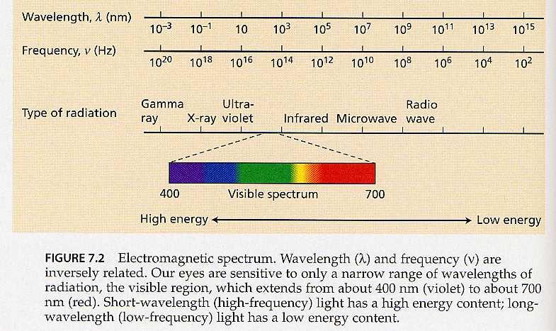 Sluneční záření Ultrafialové (UV, < 400 nm) Fotosynteticky aktivní