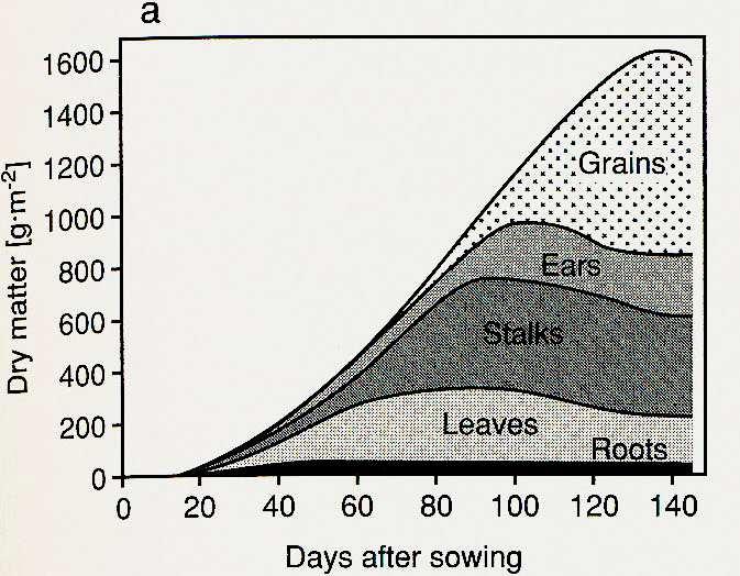 Změny alokace biomasy (DW) do jednotlivých orgánů během vegetace (př.