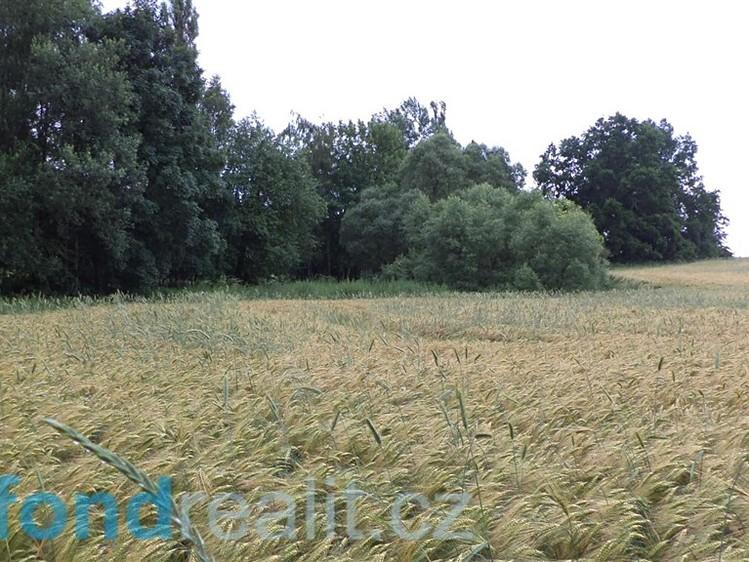 OCENĚNÍ Výpočet hodnoty pozemků Pozemky Porovnávací metoda Při stanovení obvyklé ceny bylo předpokládáno, že pozemky jsou volné a v souladu s jejich nejvyšším a nejlepším využitím.
