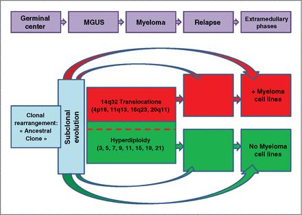 vyšetřených nemocných. Toto pozorování vedlo autory k navržení modelu onkogeneze u MM (obrázek č. 47). Obrázek č. 47: Model onkogeneze mnohočetného myelomu (Hébraud et al, 2013).