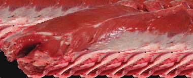 FANY Gastroservis -