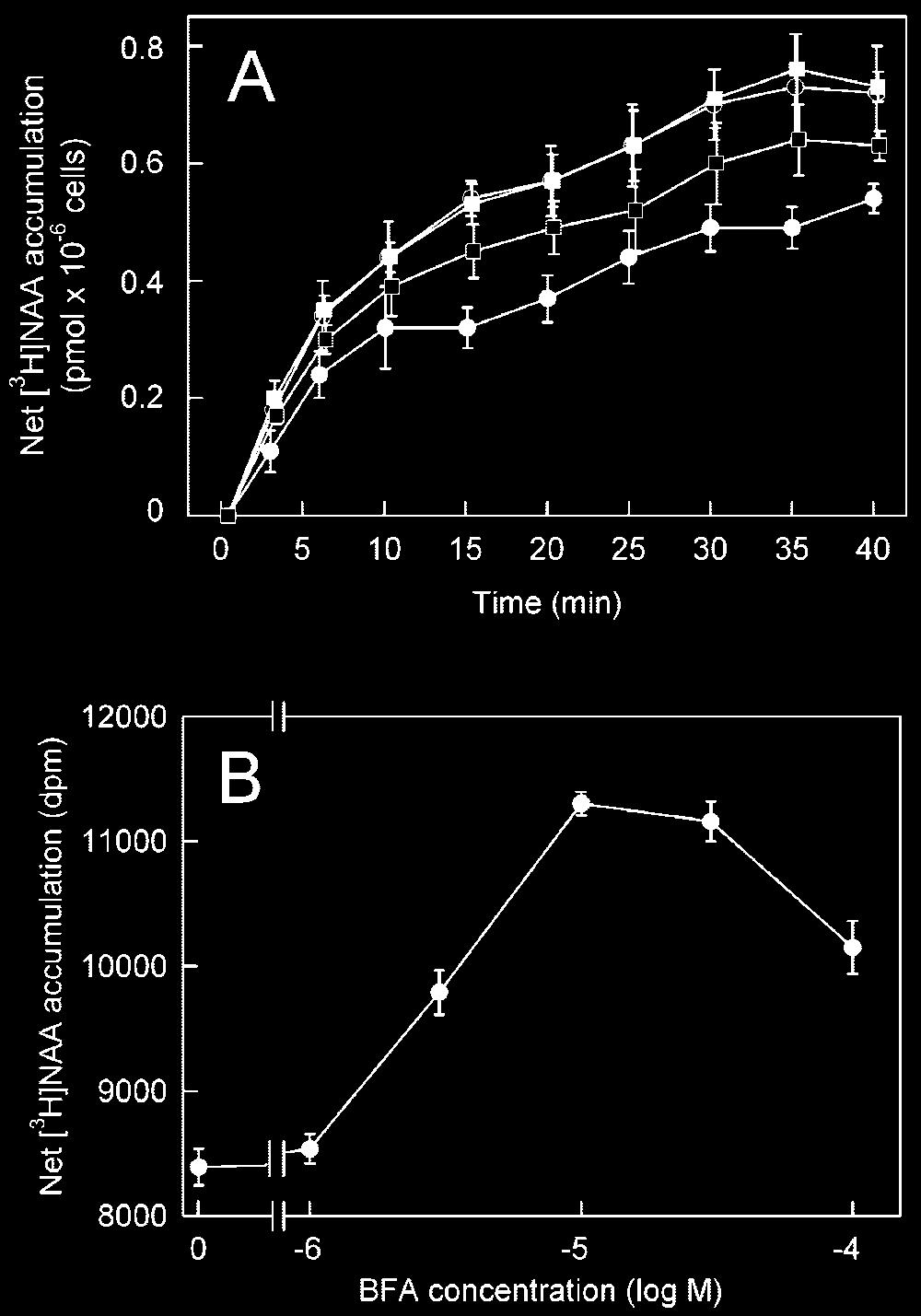 3, B and H), BFA had a dramatic effect on the arrangement of the radial and perinuclear AFs (Fig. 3E).