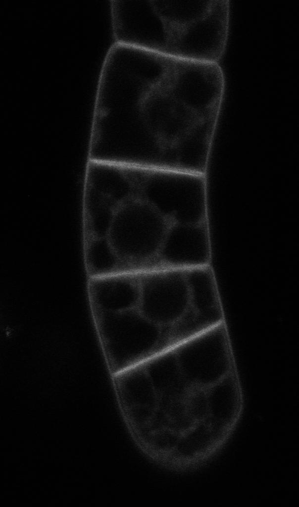 140 120 100
