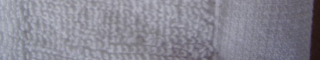 2009 bylo