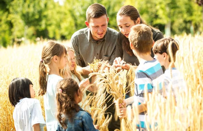 ŘEMESLA Od zrníčka ke chlebu Je to žito, oves, ječmen, nebo pšenice? Které obilí má dlouhé vousy a které si udržuje jen krátké strniště? Víte, jak ze zrníček ukrytých v klásku vzniká chleba?