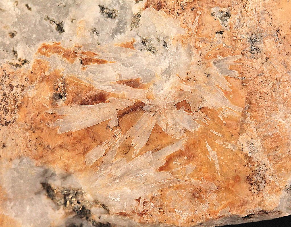 Polohy blízké dioritu jsou charakteristické jemnozrnnou až středně zrnitou, všesměrnou texturou, v níž dominují šedě až černě zbarvené amfiboly, biotit a šedobílé plagioklasy (oligoklas-andezin).