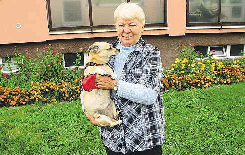 Všude jesice zeleň, docela slušně udržované trávníky, ale jen před jedním domem je nádherně udržovaných několik záhonů květin, napsal redakci ostravský čtenář 5plus2.