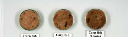 The sensory properties of minced fillet fish flesh were described quantitatively by reference to (n=12) trained sensory panelists according to international standards and training in the use of