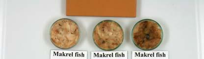 Panelists were asked to evaluate sample overall acceptability, color, texture, flavors, rancid and putrid odor developments rated on an unstructured scale represented by a straight line 100 mm long,