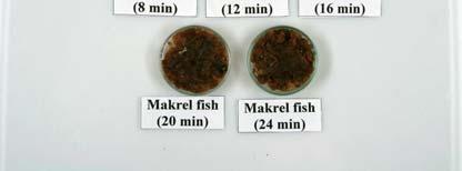 Results were expressed as mean sensory scores. RESULTS AND DISCUSSION Descriptive sensory evaluation of carp fish The results from sensory evaluation are shown in Figure 1 and 2.