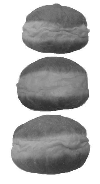 The aim of this paper is to describe the variability in doughnuts shape by use of image analysis and following analysis performed by means of Fourier descriptors.