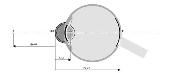Vzdálenost od vrcholu rohovky (mm) Poloměr zakřivení (mm) Přední plocha modelu 0,00 +5,55 - Vnitřní prostředí modelu - - 4/3 Předmětové ohnisko -16,67 - - Obrazové ohnisko +22,22 - - Hlavní bod 0,00
