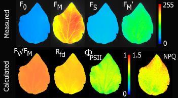 FLUORESCENČNÍ KAMERA 250