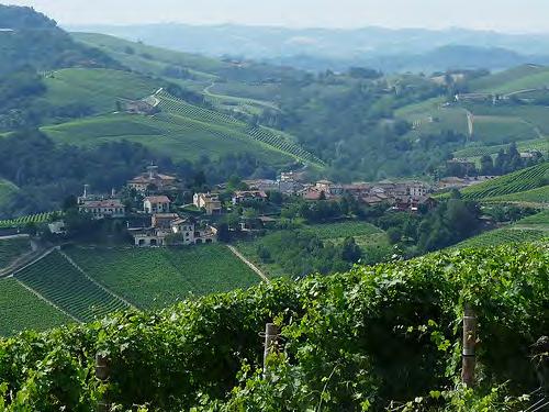 Barolo má necelou tisícovku obyvatel, stejnojmenné slavné víno mu ovšem dodává kouzlo. Víno králů a král vín. Tak se říká Barolu.