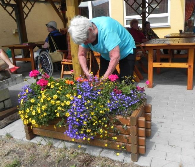 Řeč je o květinách, které nám dělají okrasu okolo Domova. Nejlépe je popíše snad jen fotografie.