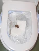 (3) Otevřete sáček, přehrňte jej přes mísu toalety a přiklopte sedátko.