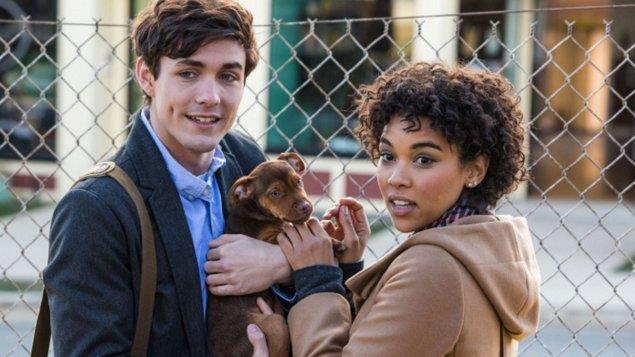 Psí Domov OBSAH FILMU: Když si Lucas Bellu adoptoval, byla ještě malé štěně. Od té doby se stali nejlepšími přáteli. Jednoho dne však Bella zmizí a ocitne se více než 600 km od svého pána.
