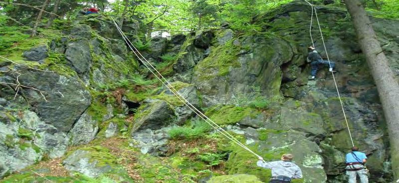 Bolevecké rybníky Plzeň - Základy kineziologie 3. 4. 2017 MSA2 MUDr.