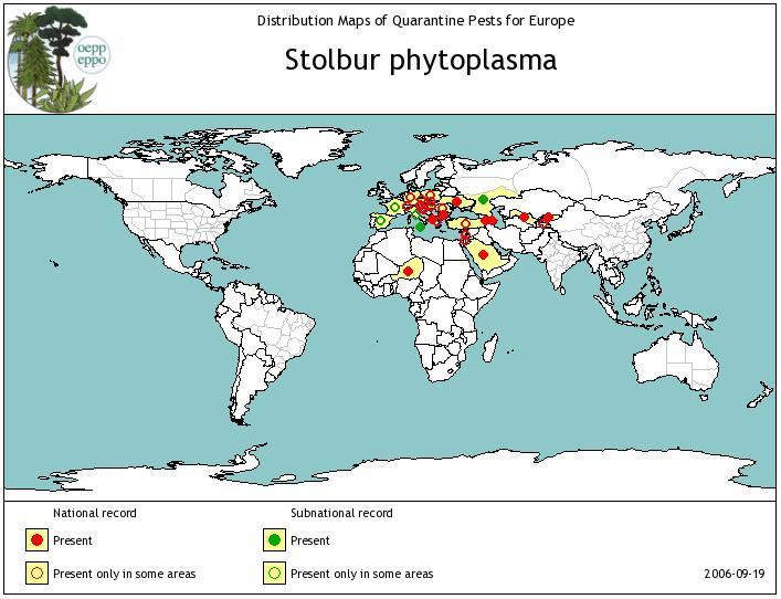 5.2. Výskyt choroby ve světě Fytoplazma stolburu bramboru je rozšířena v následujících evropských zemích: Albánie, Bosna a Hercegovina, Bulharsko, Česká republika, Francie, Chorvatsko, Itálie,