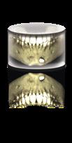 Planmeca ProMax 3D s Dlouhodobá spolupráce se společností Planmeca Ari Mäkelä Nezávislý stomatolog Stomatologická klinika Dental Care Center Janne Järvenpää, Finsko Před několika lety jsme pro naší