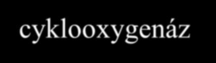 Inhibitory cyklooxygenáz stimulují (+) a