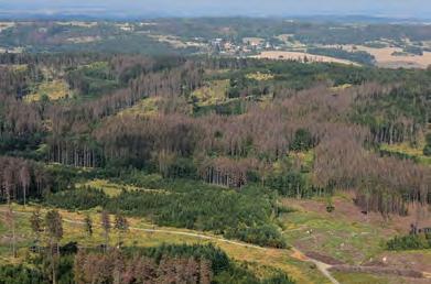2019 tj. hlavně širší oblast Českomoravské vrchoviny (obr. 25), avšak situace se rychle zhoršuje i ve střední a severovýchodní části Čech.