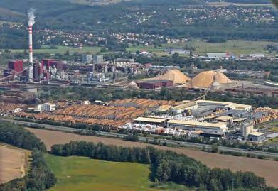 V předchozích letech bylo slabé třetí rojení zaznamenáno až na přelomu srpna a září, jde tedy o značný posun. V 37. až 39. týdnu (od poloviny září) se opět projevila mírně zvýšená letová aktivita l.