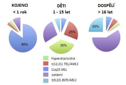 Akutní lymfoblastická leukemie (ALL) Akutní lymfoblastická leukemie je nejrozšířenější formou dětské leukemie, zastupující asi 85 % všech dětských leukemií.