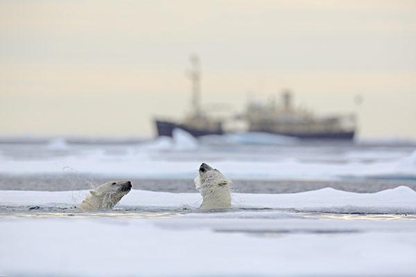 Polární výprava na Špicberky Souostroví Svalbard s největším ostrovem Spitsbergen leží vysoko v Severním ledovém oceánu, cestovat na Špicberky znamená podniknout již skutečnou výpravu do srdce