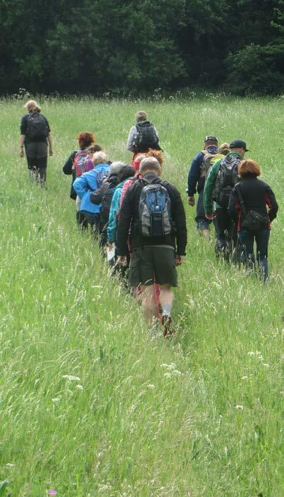 Exkurze Zahrady pod Hájem : úterý 22. 5. (3 účastníci). Exkurze Botanická zahrada za humny : sobota 26. 5., NPR Zahrady pod Hájem (37 účastníků). Exkurze Za královnou Vojšických luk : sobota 16. 6.