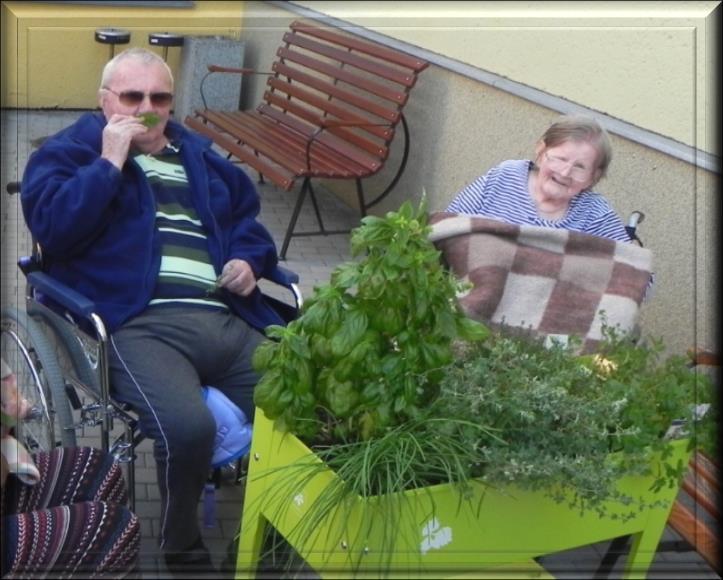 přesunuli k pergole, kde máme bylinky na