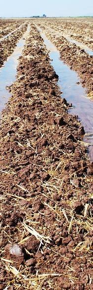 2.2. PRODUKCE JÍDLA - DOPORUČENÍ Zajištění dostatku jídla pro všechny bude vyžadovat: Změnu obsahu stravování (menší spotřebu masa) Redukci jídelního odpadu Regulaci ploch pro biopaliva Zvýšení