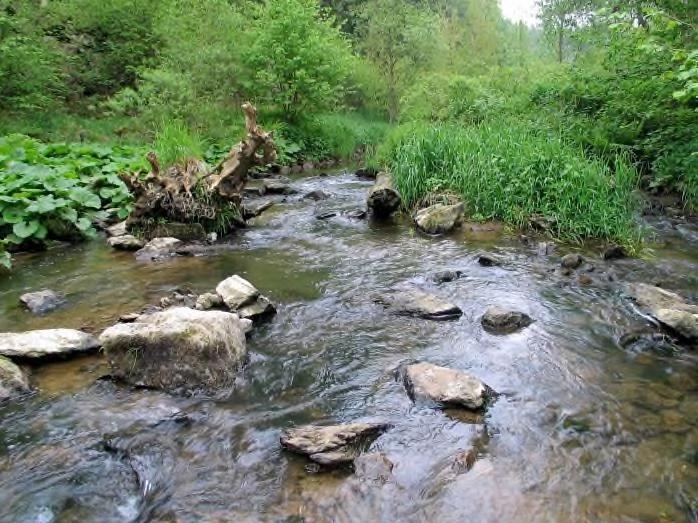 Při revitalizacích se hydraulická členitost zvětšuje především obnovou přirozeného vlnění trasy, obnovou přirozených tvarů a rozměrů příčných průřezů koryta, hloubením tůní ve dně koryta a