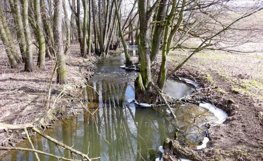 Obr. 36 Břehové nátrže patří k přirozenému vývoji koryt, k rozvoji jejich tvarové a hydraulické členitosti.
