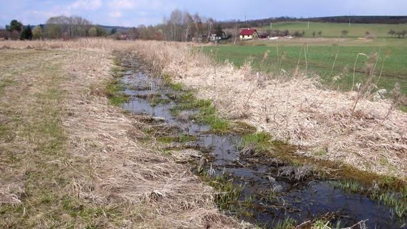 Je zcela logické, pokud v těchto úsecích je údržba technických úprav omezována na provozně a bezpečnostně nezbytné minimum, a největší možnou měrou v nich jsou využívány a podporovány samovolné