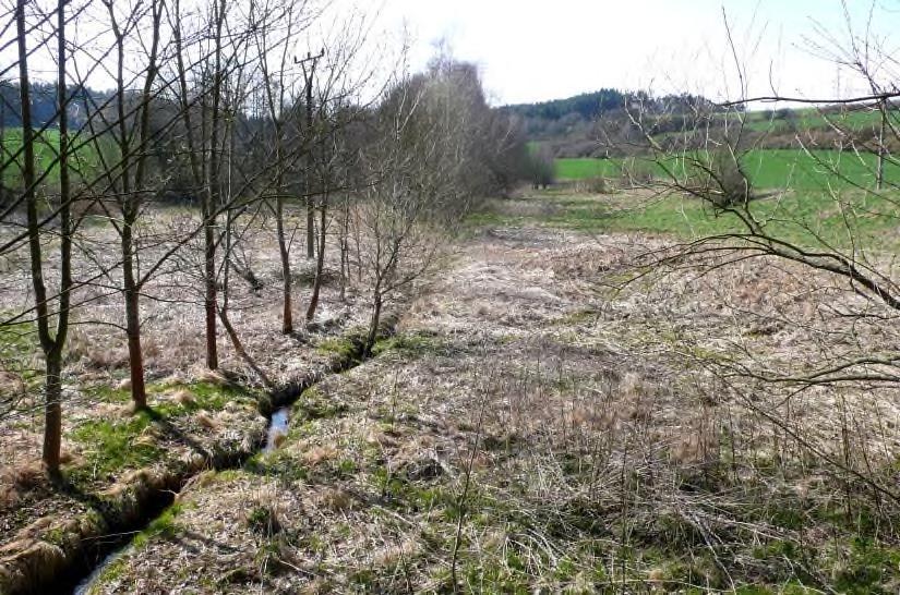 Obr. 39 Někdo si kdysi myslel, že proměna drobného potoka v "meliorační" příkop vysuší jeho úzkou nivu a umožní v ní zemědělsky hospodařit.