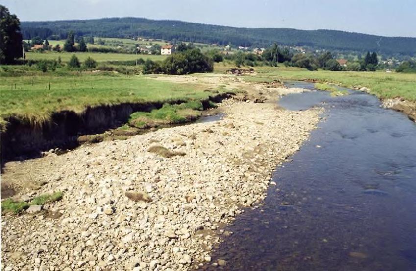 Ale příroda aspoň koná tuto práci poměrně spolehlivě a nepotřebuje k tomu žádné dotace a papíry s razítky. Obr. 40 Povodeň rázem renaturovala úsek vodního toku v lukách.