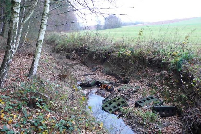V úsecích, v nichž bude plánem požadováno zlepšení morfologicko-ekologického stavu, ať již revitalizačními stavbami nebo samovolnými renaturacemi, se nebudou provádět údržba a opravy těch starých