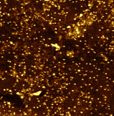 5. EXPERIMENT (a) 40 nm (b) 4 na 30 G H 3 20 2 10 1 2 µm 0 2 µm Obrázek 5.7: Výsledky měření PF-TUNA na lokálně hydrogenovaném grafenu.